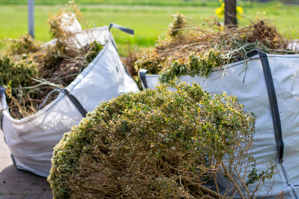 Professional Junk Removal Services in Joliet, IL
